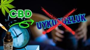 Huzurlu bir yatak odasında, komodinin üzerinde duran bir şişe CBD yağı ve ay ışığının pencereden süzülmesi.