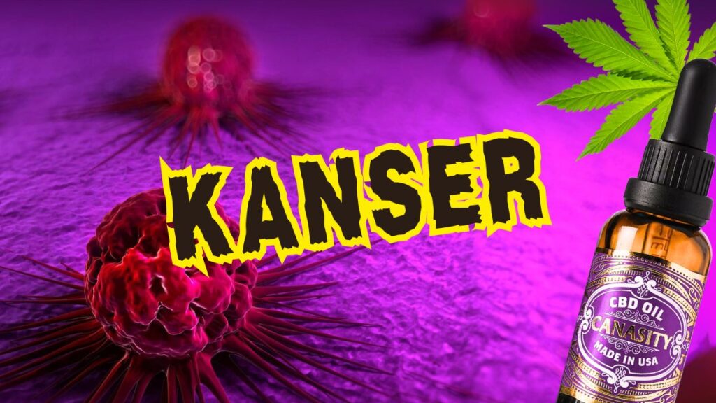 Kanserle mücadelede destek arayan birinin elini tutan bir yakını, arka planda yumuşak bir ışık ve bir şişe CBD yağı.