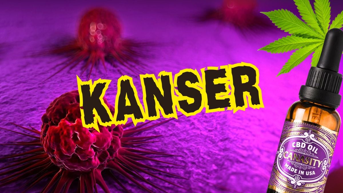 Kanserle mücadelede destek arayan birinin elini tutan bir yakını, arka planda yumuşak bir ışık ve bir şişe CBD yağı.