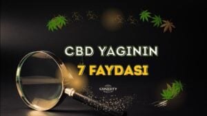 Doğal bir ortamda, farklı kullanım alanlarını (uyku, ağrı, anksiyete) simgeleyen ikonlarla çevrili bir CBD yağı şişesi.