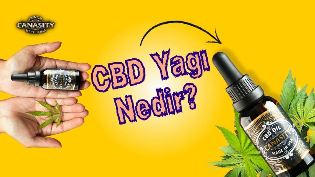 CBD Yağı Nedir? Kenevir Tohumu Yağı Arasındaki 10 Temel Fark