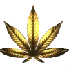 canasity CBD oil logo